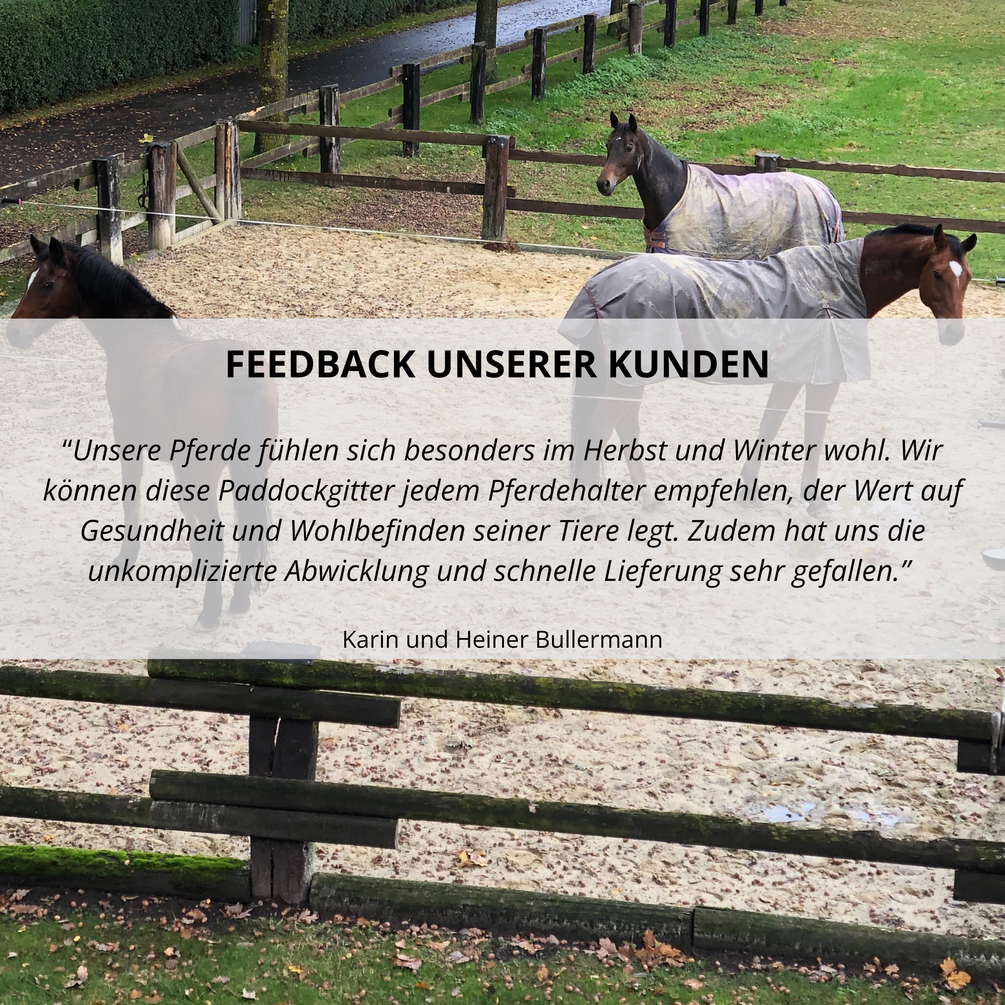 EQUIGROUND PADDOCKGITTER